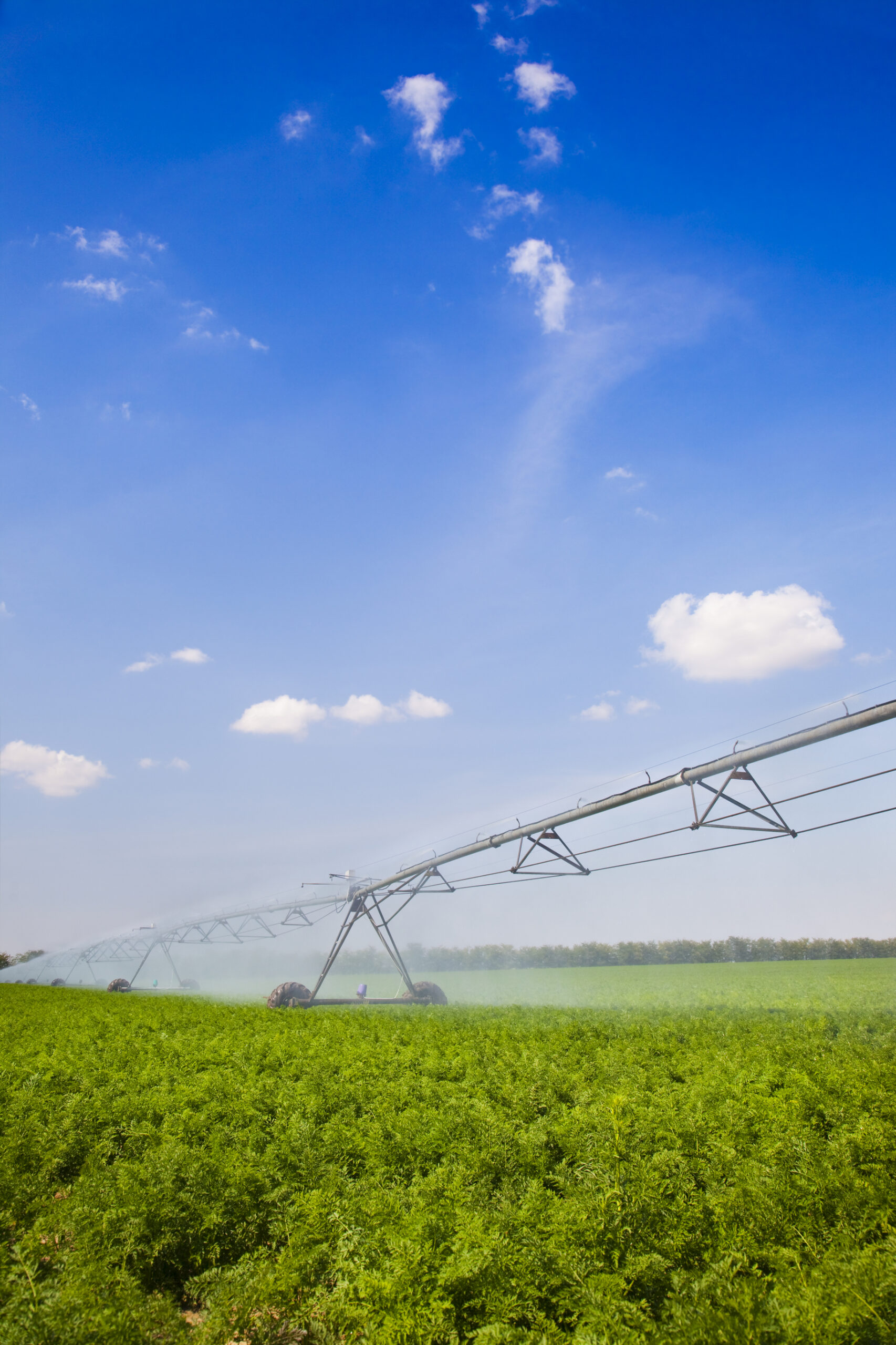 Agricultural Technology Sprinkling Water